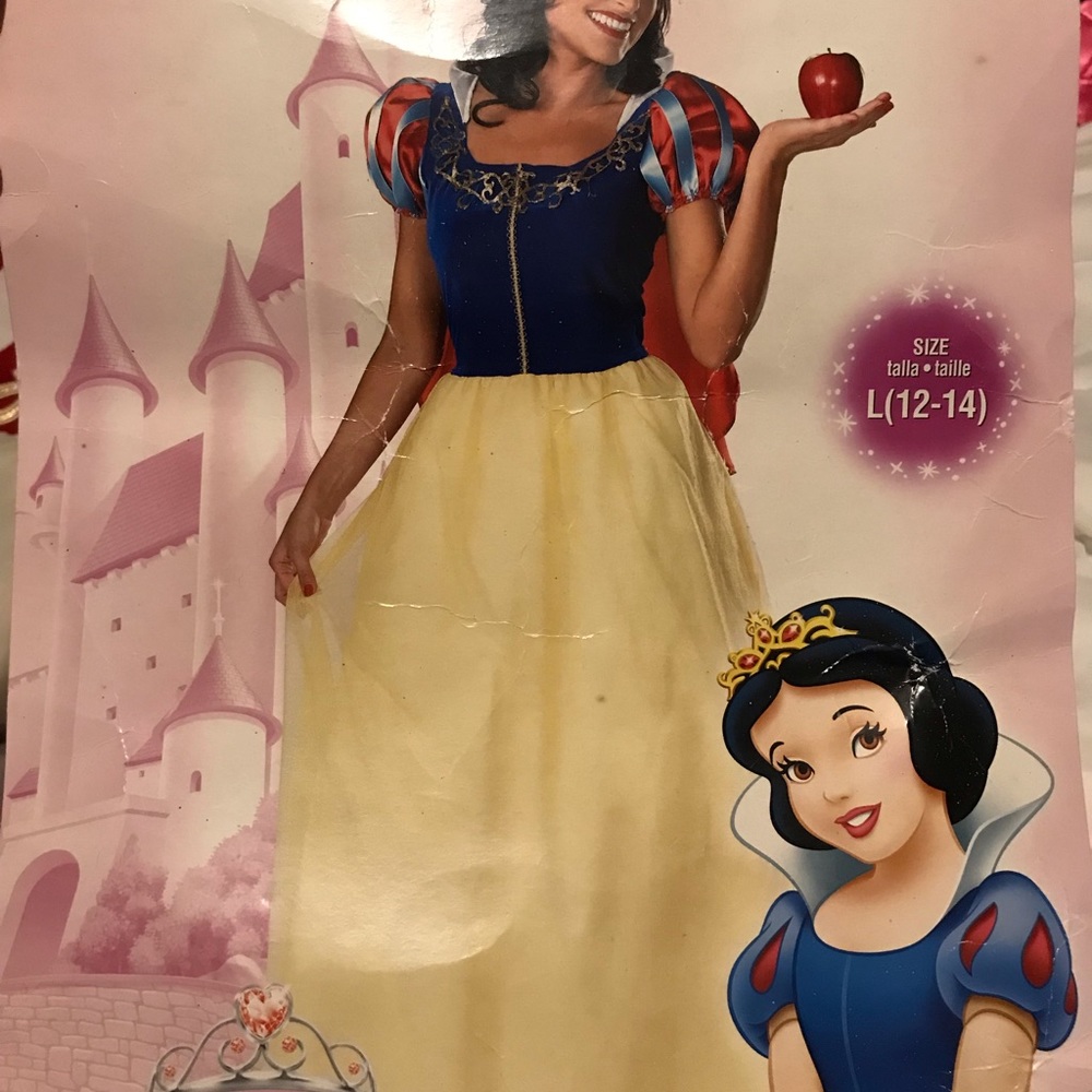 Snow White Halloween costume adult Large